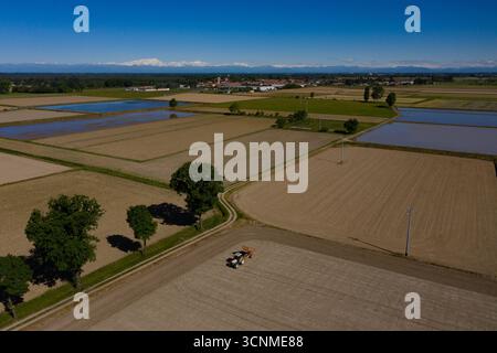 Aus der Vogelperspektive des Traktors, der die trockene Erde neben lebendigen grünen Bäumen und überfluteten Reisfeldern unter einem klaren blauen Himmel bebaut, Vespolate, Piemont, Italien. Stockfoto