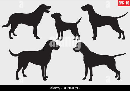 Hund Silhouette Set Stock corso Vektor Design Illustration Stock Vektor