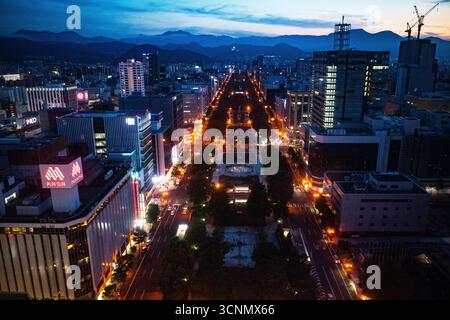 Nachtkulisse über Sapporo vom Fernsehturm, Hokkaido Stockfoto