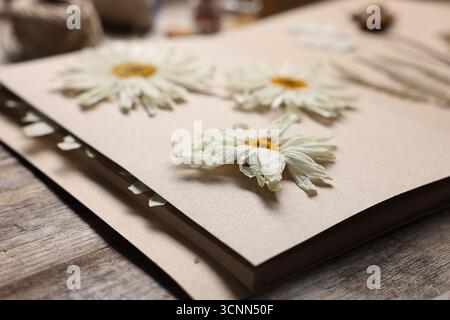 Trockene Kamillenblüten im Notizbuch auf Holztisch, Großaufnahme Stockfoto