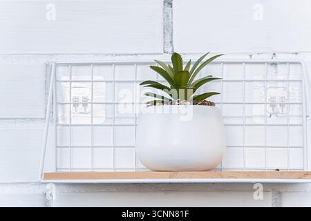 Künstlicher Sukkulent im modernen weißen Keramiktopf auf Regal gegen Lichtwand. Minimalistisches, trendiges Wohndekor, stilvolle grüne Akzente, pflegeleicht i Stockfoto
