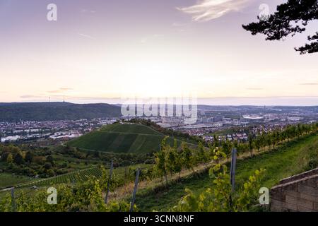 Sonnenuntergang über Weinbergen und Stuttgarter Stadtlandschaft vom württembergischen Hügel Stockfoto