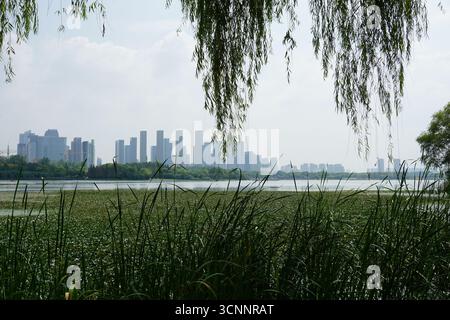 Wuxi (Jiangsu), China: Bogong Island Ecological Park rund um den Lihu See Stockfoto