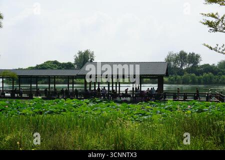 Wuxi (Jiangsu), China: Bogong Island Ecological Park rund um den Lihu See Stockfoto