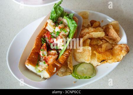 Hummerbrötchen, Sopo Seafood Restaurant, Portland, Maine, USA Stockfoto