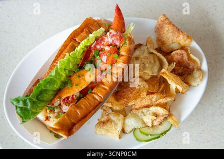 Hummerbrötchen, Sopo Seafood Restaurant, Portland, Maine, USA Stockfoto
