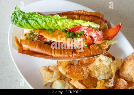 Hummerbrötchen, Sopo Seafood Restaurant, Portland, Maine, USA Stockfoto