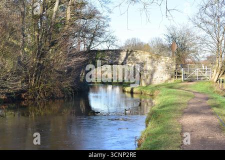 Bogenbrücke über den Kanal, Goytre Wharf, Abergavenny, Wales Stockfoto