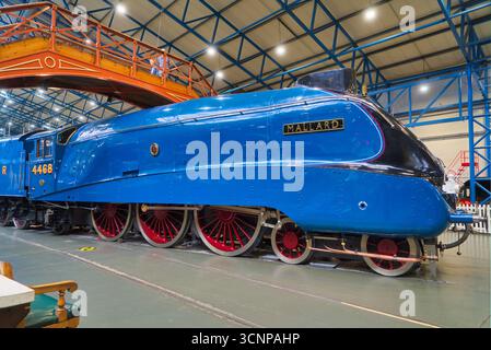 York Railway Museum, Great Hall. Berühmte Dampflokomotive „Mallard“, erbaut 1938. Stockenten (Klasse LNER A4, 4468) sind die schnellste Dampfmaschine. Stockfoto