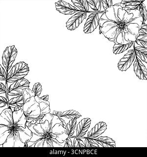 Hagebuttenblumenköpfe mit Blättern monochromer Vektor-quadratischer Rahmen mit Leerraum. Blühende wilde Hunderose Umrisszeichnung. Blumenschablone Stock Vektor