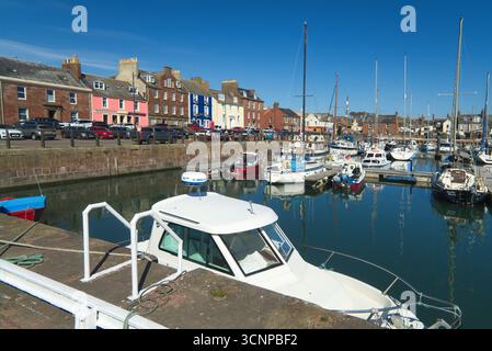 Geschäftiger und farbenfroher Hafen von Arbroath mit angelegten Booten und Urlaubsbesuchern. Angus, Nordosten Schottlands, Vereinigtes Königreich Stockfoto