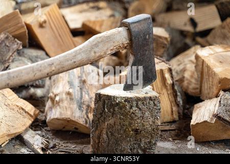 Deutschland - 21. September 2025: Eine Axt in einem Baumstamm. Das Bild symbolisiert menschliche Eingriffe in die Natur, von der Holzfällung und Entwaldung bis hin zur Debatte um Brennholz als erneuerbare Energiequelle. *** Eine Axt im Holzstamm. Das Bild steht sinnbildlich für den Eingriff des Menschen in die Natur vom Fälle der Bäume über Rodung bis hin zur Diskussion um Brennholz als erneuerbare Energiequelle. Stockfoto