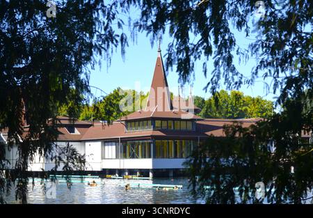 Thermalsee in Heviz, Ungarn, Reisetipp Stockfoto