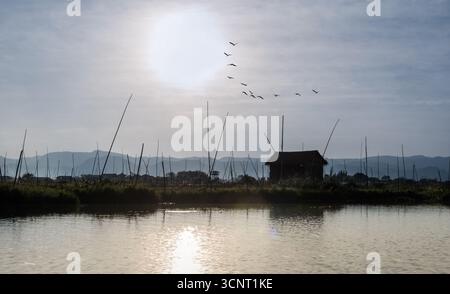Ruhiger Sonnenaufgang über dem Inle-See mit Vögeln im Flug, traditioneller Hütte und Bambusstangen, die das ländliche Leben in der Natur Myanmars widerspiegeln Stockfoto