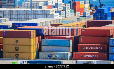 Miami, Florida-Juli 3,2017: Viele Container am Container Terminal im Hafen von Miami sind einer der größten Frachthäfen in den Vereinigten staaten von Amerika. Stockfoto