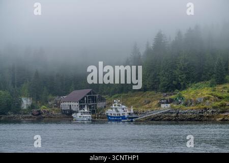 Blick auf Butedale, eine Geisterstadt in Privatbesitz (historisches Konservendorf, gegründet 1911) auf Princess Royal Island, Great Bear Rainforest, British Col Stockfoto
