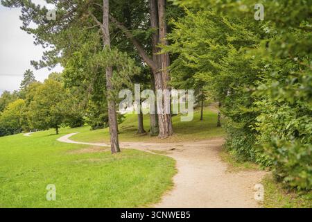 Gewundener Weg durch eine grüne Parklandschaft mit hohen Bäumen, Schloss Lichtenstein, Schwäbische Alb, Deutschland Stockfoto