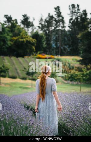 Frau mit langen roten Haaren in blauem Kleid, die durch ein üppiges Lavendelfeld in Neuseeland geht, umgeben von lebendigem Grün und fernen Kiefern Stockfoto