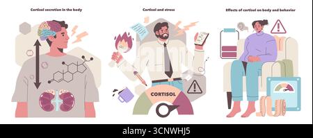 Vektorillustration zur Erklärung der Rolle von Cortisol bei Stress, Körperfunktionen und Verhalten. Zeigt Gehirnaktivität, gestresste Person und emotionale Effekte und hebt die Wirkung von Hormonen hervor. Stock Vektor