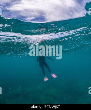 Ein Schnorchler mit rosafarbenen Flossen erkundet die lebendige Wasserlandschaft unter der Oberfläche in der Nähe von Cairns, Australien, und fängt die Essenz des Abenteuers und m ein Stockfoto