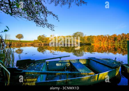 Blick auf die Herbstlandschaft am Holzmaar bei Gillenfeld. Idyllische Natur am See in der Vulkaneifel in Rheinland-Pfalz. Stockfoto