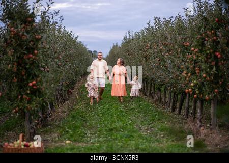Eine vierköpfige Familie genießt einen angenehmen Spaziergang durch einen üppigen Apfelgarten. Die Szene fängt Freude und Zweisamkeit in Reihen fruchtbarer Apfelbäume ein Stockfoto