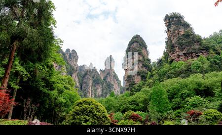 Ein atemberaubender Blick aus dem flachen Winkel auf die hoch aufragenden Karstsäulen, die vom Oxygen Square im wunderschönen Zhangjiajie National Forest Park in auftauchen Stockfoto