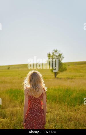 Rückansicht einer nicht erkennbaren Frau in einem Blumenkleid steht auf einer üppigen Sommerwiese und blickt auf den Horizont. Ihr blondes Haar fängt das Sonnenlicht ein Stockfoto
