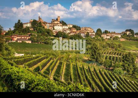 Historisches Dorf Neive, umgeben von terrassenförmig angelegten Weinbergen in der Weinregion Langhe, Piemont. Mittelalterliche Stadt auf einem Hügel mit Kirchturm und sanftem Weinberg Stockfoto