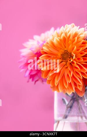 Orange Dahlien in einer wassergefüllten Glasvase. Stockfoto