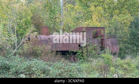 Bosnien und Herzegowina, Drvar (Mun.), Drvar (Titov Drvar): Dampflokomotive in Drvar Stockfoto
