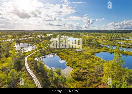 Blick aus der Vogelperspektive auf den Kemeri Bog Boardwalk und die Moorseen, Kemeri Nationalpark, Lettland Stockfoto