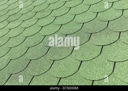 Eine detaillierte Nahaufnahme von grünen Schindeldachziegeln, die in gekrümmten, sich überschneidenden Reihen angeordnet sind. Die strukturierte Oberfläche und das weiche Licht betonen Muster, Wiederholung Stockfoto