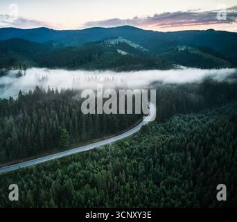 Aus der Vogelperspektive schlängelt sich die Straße durch dichten, nebelbedeckten Wald im frühen Morgenlicht. Üppig grüne Bäume mit Nebelschichten schaffen eine traumhafte Atmosphäre, während die Berge im Hintergrund aufsteigen. Stockfoto