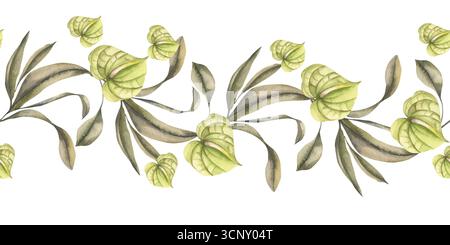 Florale tropische nahtlose Grenze mit anthuriumgrünen Blüten und Eukalyptuszweigen Illustration. Handgezeichnetes Blattgrün-Banner mit exotischen blos Stockfoto