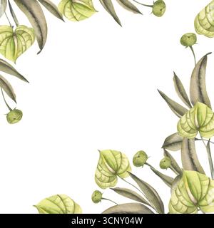 Tropische anthuriumgrüne Blüten mit Eukalyptusblättern Aquarellbanner. Handgezeichneter botanischer Rahmen mit exotischem Dschungelgrün für den Sommer DE Stockfoto