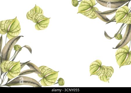 Aquarellbanner mit tropischen Anthuriumblüten und grünen Illustrationen. Handgezeichneter Rahmen mit exotischen botanischen Elementen für Karte, Stockfoto