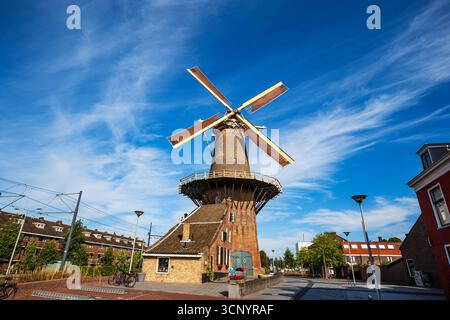 Delft, Niederlande, 26. August 2025. Berühmte de Roos Windmühle in Delft. Weites, flaches Panorama, sonniger Sommertag Stockfoto
