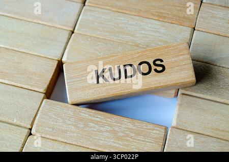 Kudos-Text auf einem einzelnen Holzblock, der Erfolge und Anerkennung feiert Stockfoto