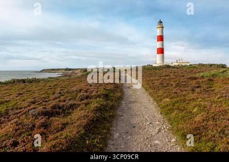 Tarbat Ness Lighthouse, ein markantes rot-weißes Leuchtfeuer auf der Osterross-Halbinsel, führt seit 1830 Schiffe im Moray Firth. Stockfoto
