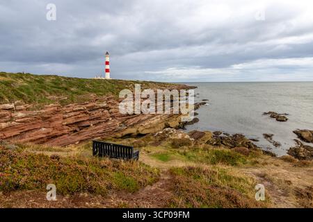 Tarbat Ness Lighthouse, ein markantes rot-weißes Leuchtfeuer auf der Osterross-Halbinsel, führt seit 1830 Schiffe im Moray Firth. Stockfoto