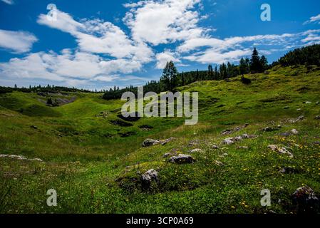 Alpenwiese in Asiago mit Wildblumen, Felsen und grünen Hügeln unter blauem Himmel mit Wolken. Berglandschaftskonzept, Ökotourismus und unberührte Wildnis Stockfoto