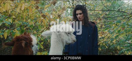 Jane Austen a gâché mA vie (französisch Jane Austen a Wrecked My Life) ist eine französische Romankomödie von Laura Piani aus dem Jahr 2024. Stockfoto