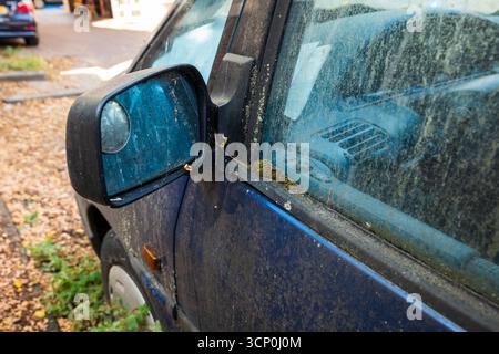 Verlassenes Auto schmutzig, schimmelig, dreckig und grünes Moos wachsen an der Tür und am Seitenfenster. Nahaufnahme, keine Leute Stockfoto