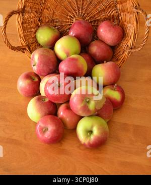 Frische rote und grüne Äpfel, die aus einem Korb auf einem Holztisch fallen. Stockfoto
