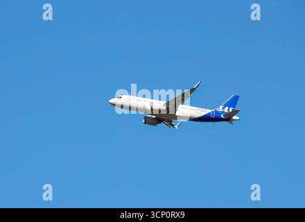 SAS, Scandinavian Airlines System, Airbus A320 Flugzeug, Cargo Hill, Budapest, Ungarn, Magyarország, Europa Stockfoto