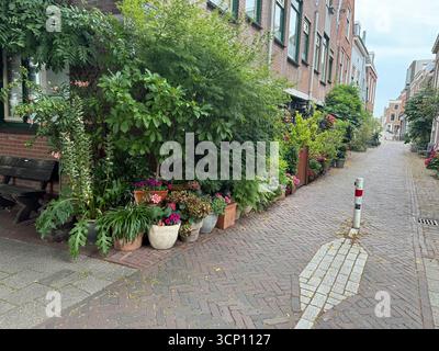 Blick auf die wunderschöne Stadtstraße mit grünen Pflanzen Stockfoto