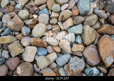 Verschiedene Größen und farbige Felsen und große Kieselsteine, abgerundet von der Aktivität des Meeres, die bei Ebbe am Bude Beach in Cornwall an der Küste ausgesetzt ist. Stockfoto