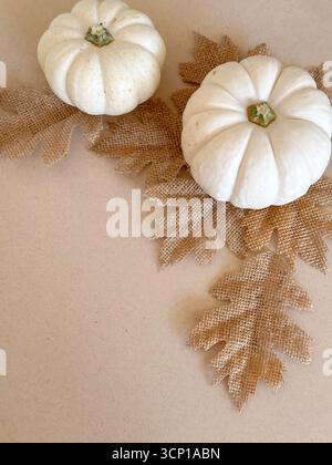 Minimalistisches Stillleben mit kleinen weißen Kürbissen auf rustikalen Sackleinen-Blättern vor einem weichen beigen Hintergrund. Stockfoto