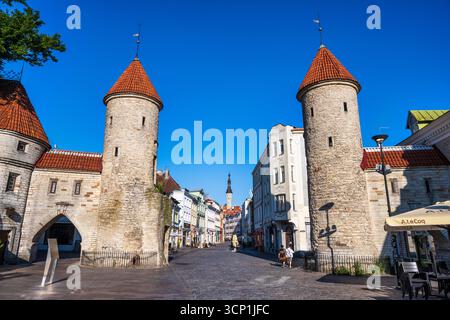 Viru-Tor (Viru Väravad) mittelalterliche Wachtürme in Müürivahe am Eingang zur Altstadt von Tallinn in Estland, Nordeuropa Stockfoto